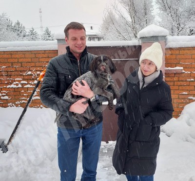 Новые владельцы